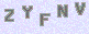 manual verify
